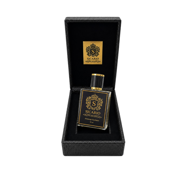 آمواج گایدنس